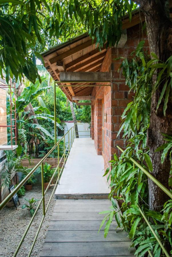 Hotel Pochote Mazunte Esterno foto